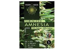 Vision seeds