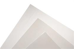 Vacuum bags 12 my